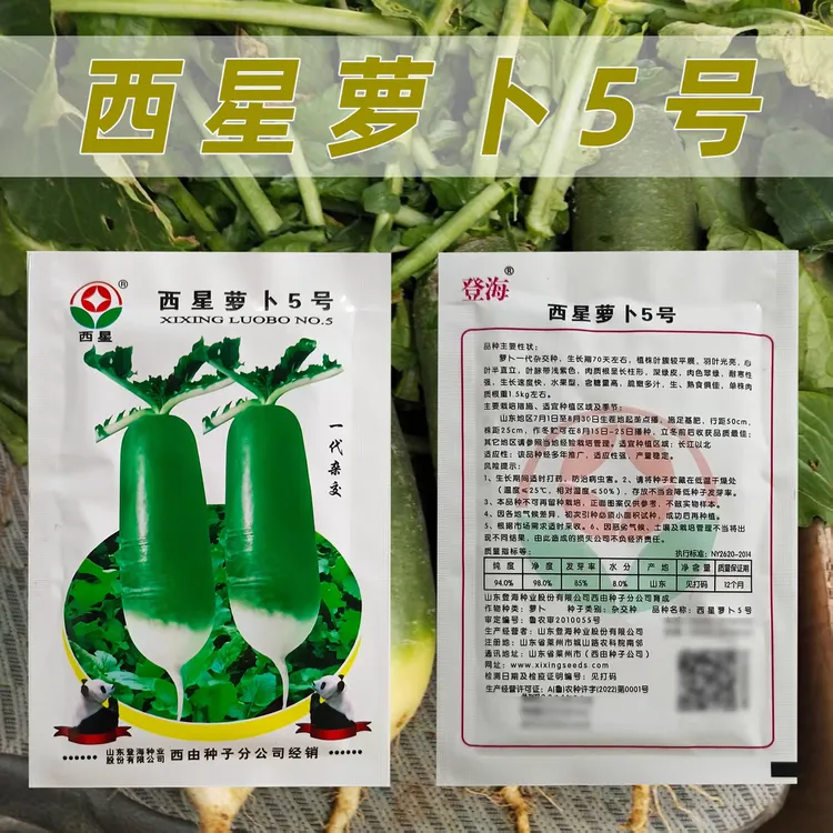 西星萝卜5号种子含糖量高产量稳定适应性强耐寒性强水果萝卜种子