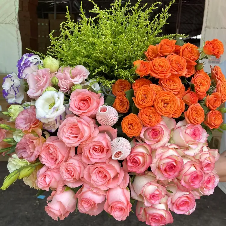 【爆款鲜花】爱莎玫瑰10只+粉玫瑰10枝+橙芭比3枝+洋桔梗200克+配草