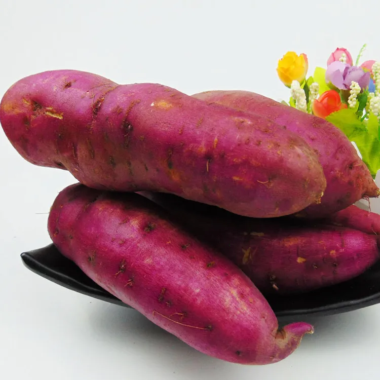 迟府大院自产东北心香蜜薯地瓜 5斤包邮