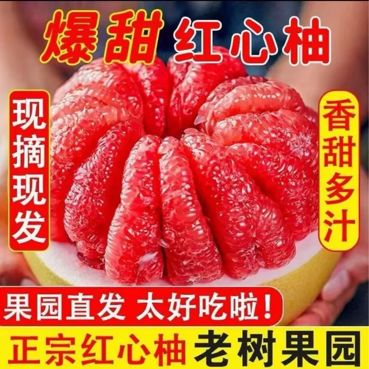 【只发新疆】正宗福建红柚新鲜当季水果皮薄肉厚多汁