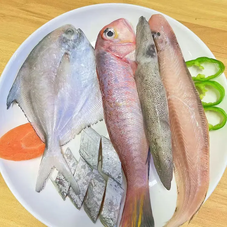 韩大宝健康海捕三去 海杂鱼