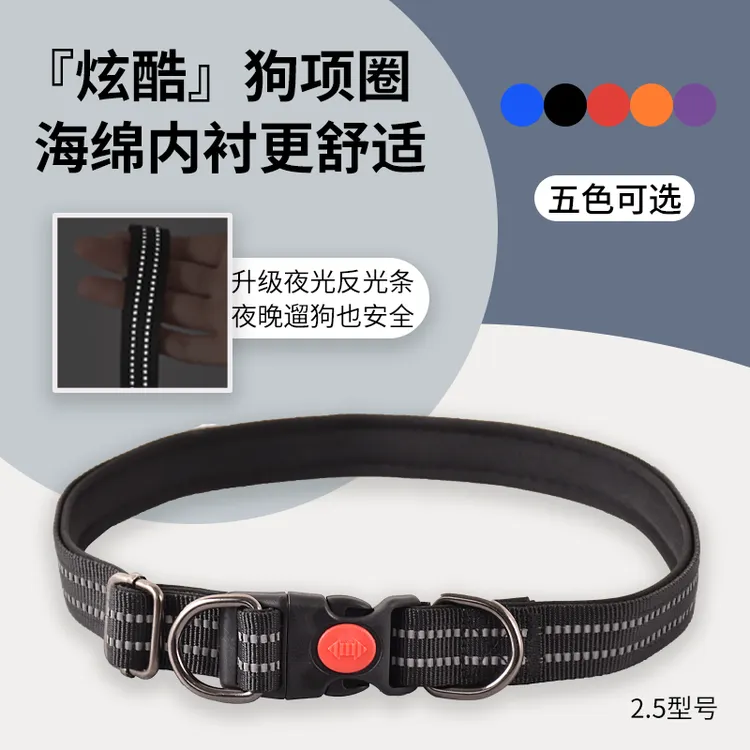 双D扣狗狗项圈  中型犬大型犬狗脖套头套柴犬金毛萨摩宠物用品