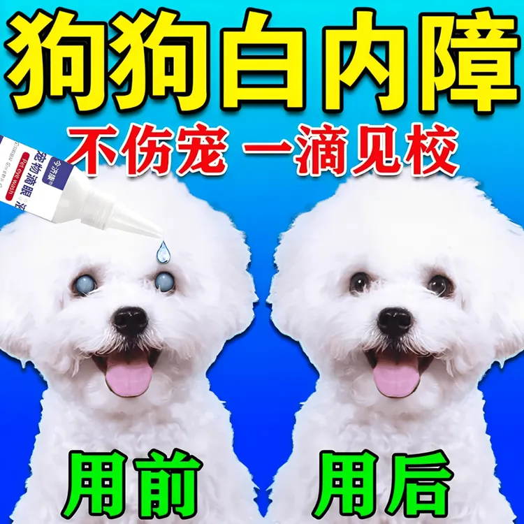 狗狗白内i障专用猫狗眼睛发白红肿泪痕眼屎老年犬幼犬白内i障用品