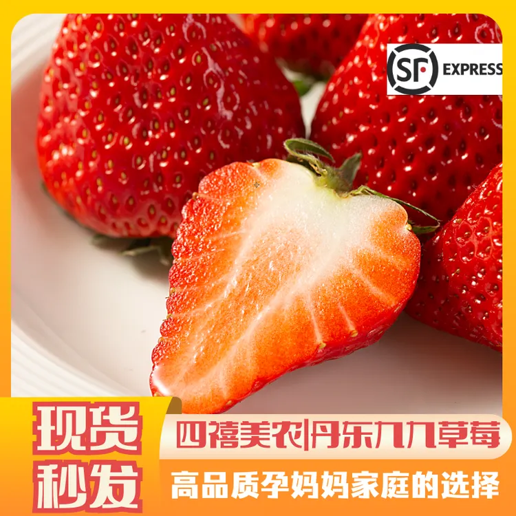 「牛奶草莓」正宗丹东九九草莓红颜奶油草莓产地直发空运包邮现采