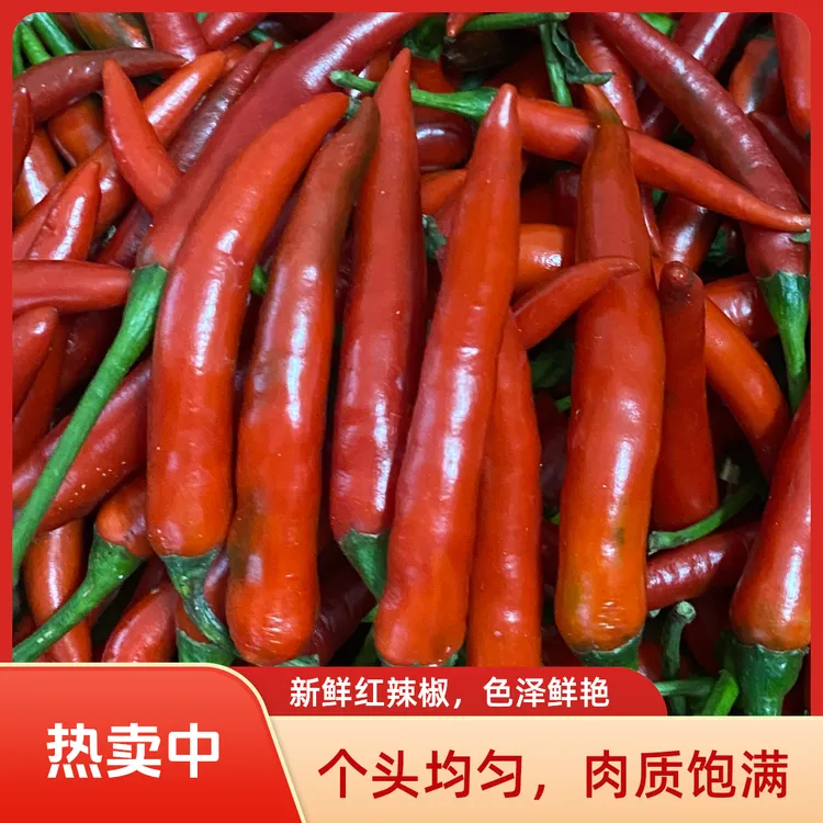 新鲜采摘小米辣椒特辣爆辣超辣朝天椒小米辣泡椒调味料红小米椒