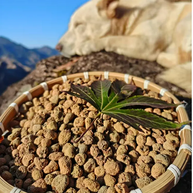 【假一赔四】正宗浙西雪乡临安高山农家掌叶覆盆子150g/300g/600g