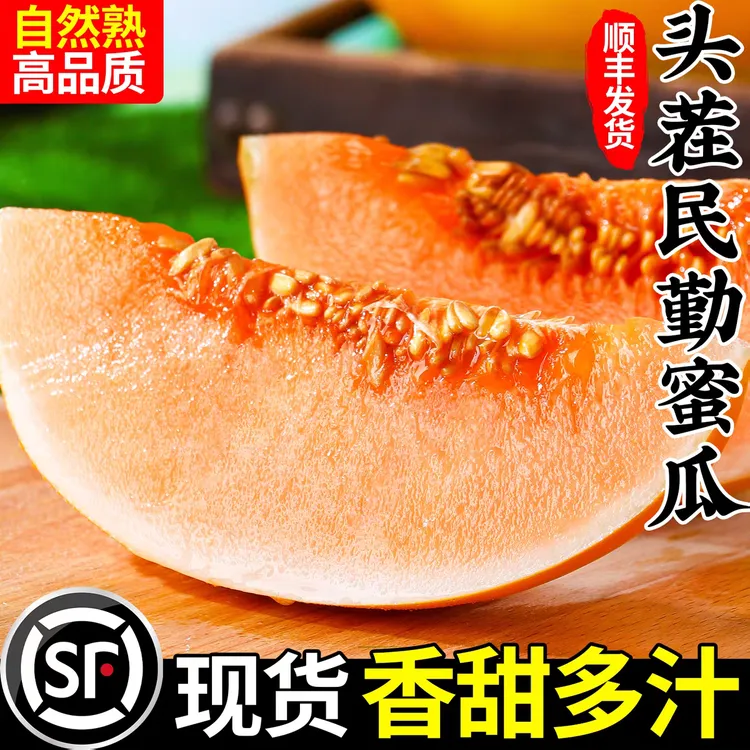 【SF发货】甘肃民勤蜜瓜新鲜水果当季黄金蜜瓜脆甜密瓜时令