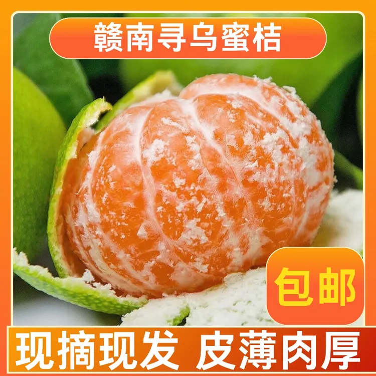 江西赣南寻乌蜜桔新鲜采摘产地直发当季水果青皮橘子酸甜多汁无籽