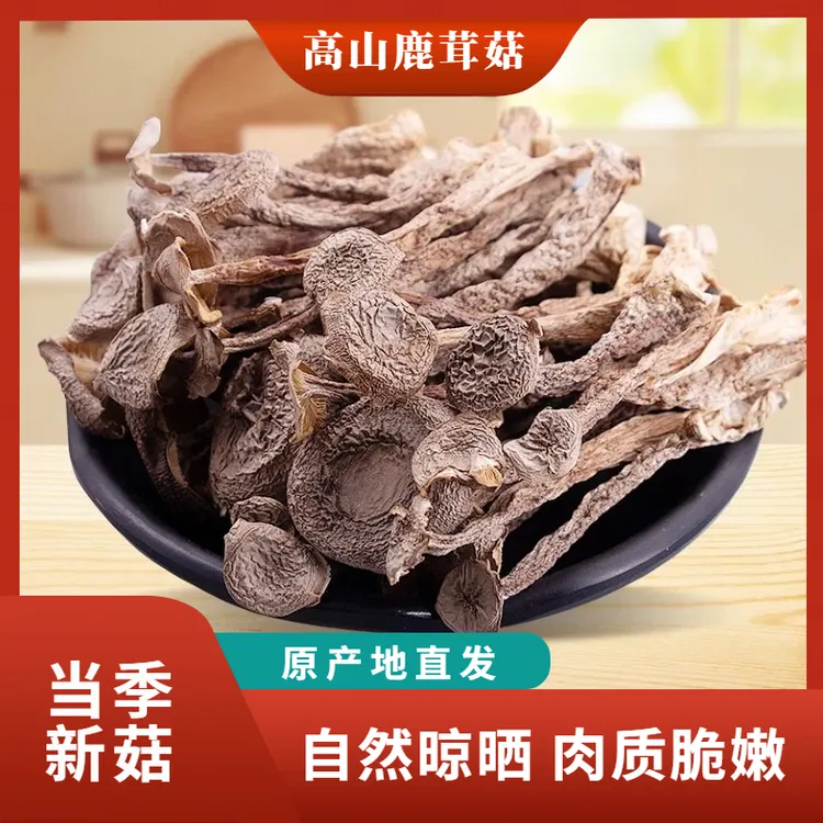 【高山鹿茸菇】 自然晾晒头茬新货菇农直发 鲜嫩爽口好吃营养价值高
