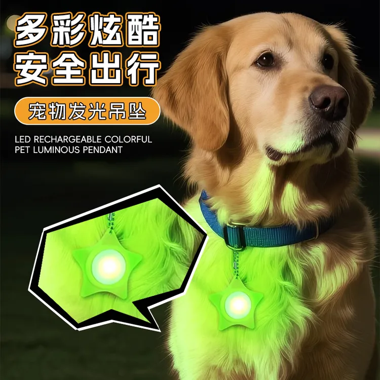 遛狗灯夜间遛狗发光灯宠物夜行灯发光项圈防丢灯神器充电发光吊坠