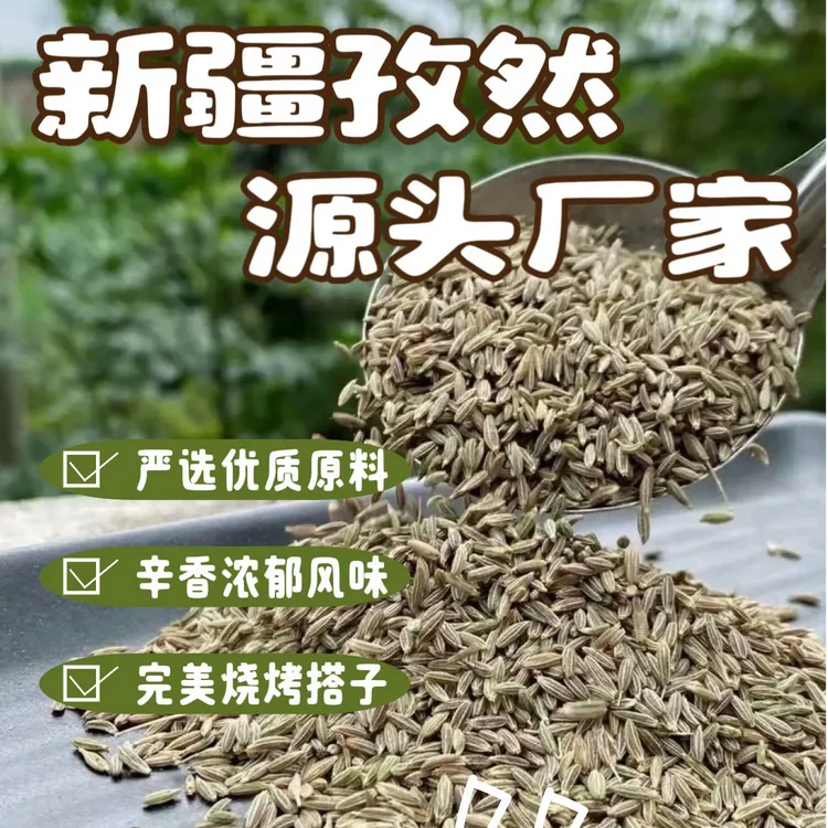 25年新疆原产孜然粒可磨粉家用商用烧烤料批发[绝不掺假]