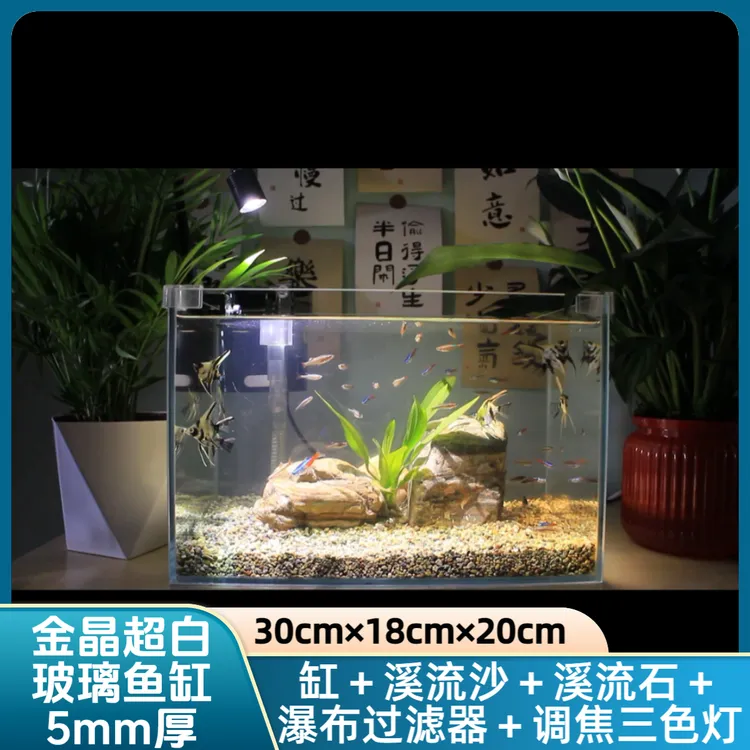 金晶超白玻璃鱼缸溪流缸原生溪流沙石瀑布过滤三色调焦小型生态缸