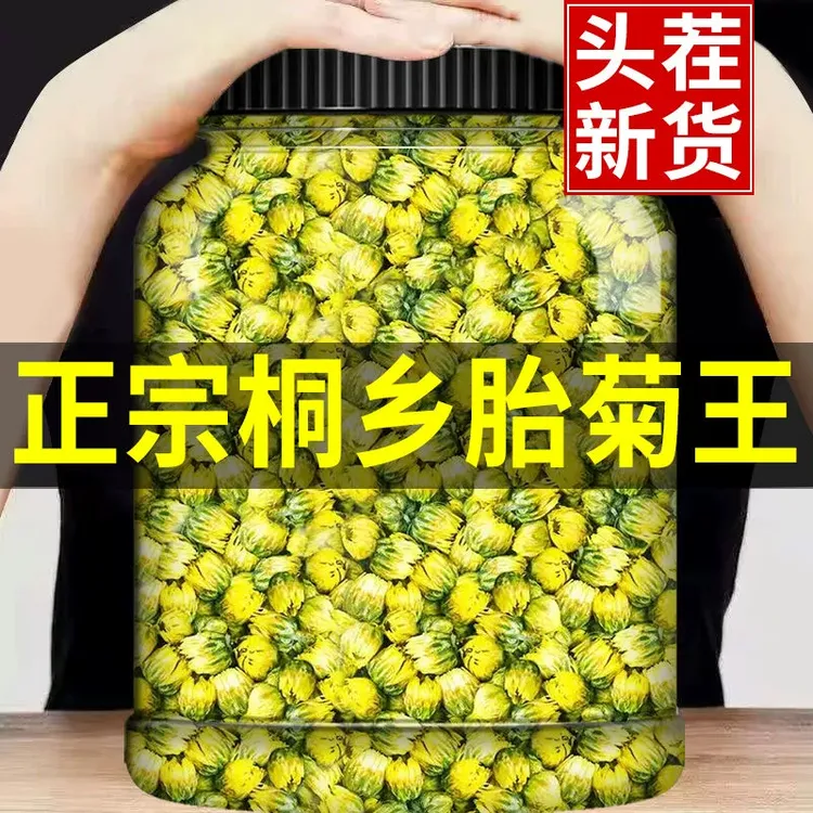 【抢500克】胎菊凉茶花茶干茶正品搭配金银花小胎菊桐乡胎菊