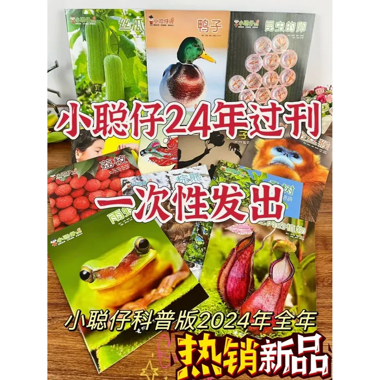 小聪仔清仓过刊21-25全年科普版婴儿儿童启蒙早教益儿童图书杂志