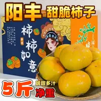 【果园直发】山西阳丰甜脆柿子净重5斤现摘新鲜孕妇水果甜柿子