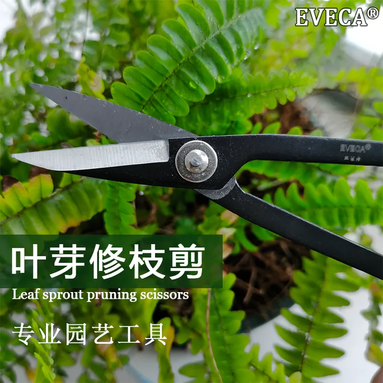 Eveca园艺叶芽盆景修剪专业工具插花嫩芽家用剪枝嫁接神器修花