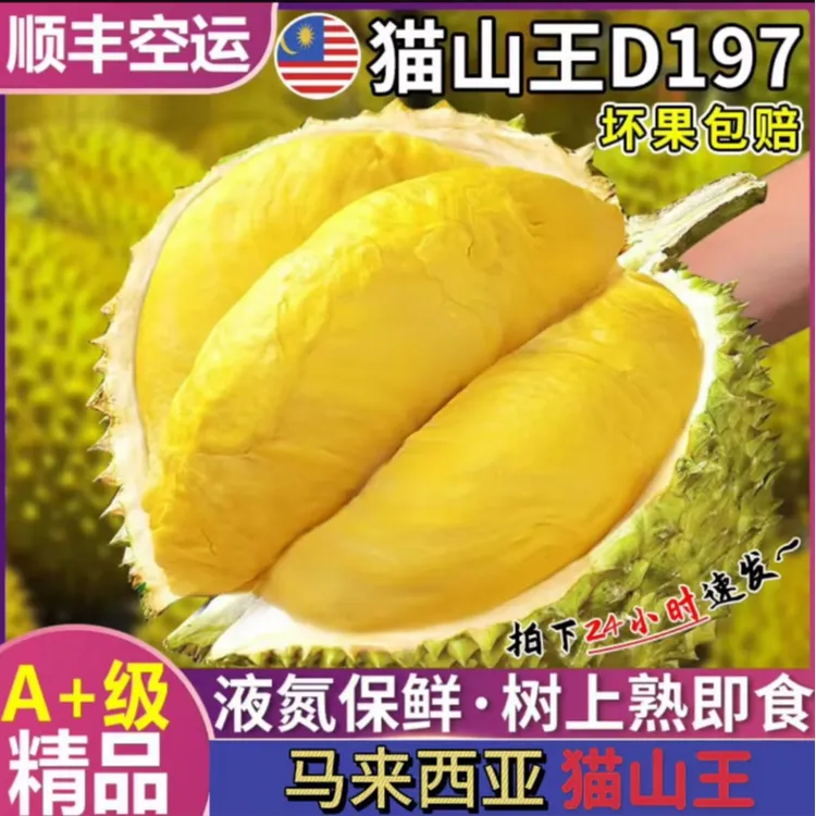 马来西亚猫山王榴莲液氮锁鲜带壳整果D197A果3斤起顺丰包邮