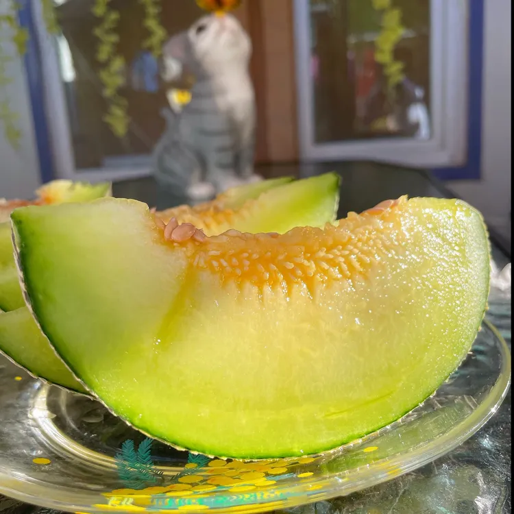 【顺丰快递】精品玫珑 网纹蜜瓜 牛三瓜新鲜水果 三亚产地直发包邮