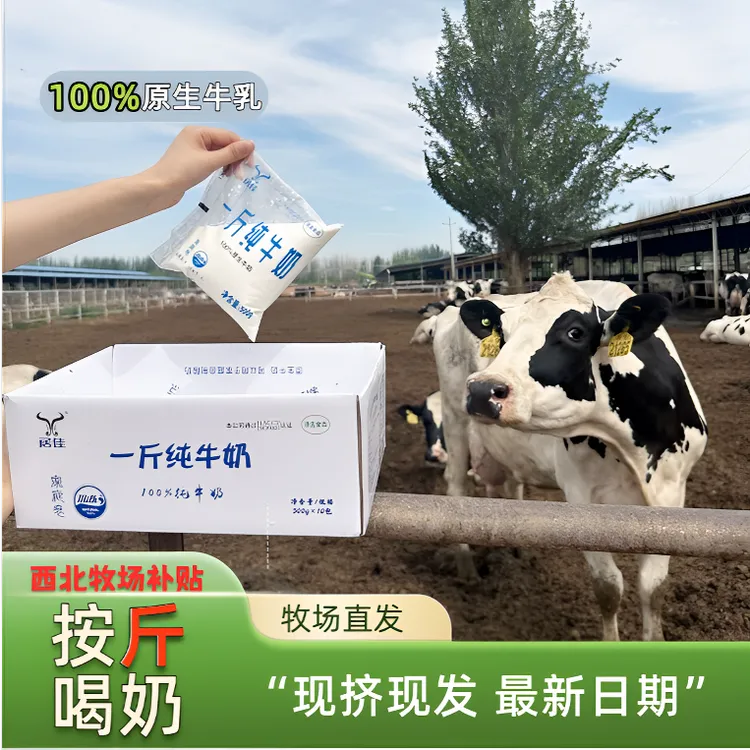 【奶厂补贴】最新鲜日期纯牛奶每袋500g*10袋生鲜专线儿童学生老人