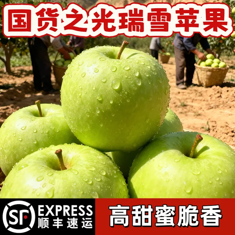 【顺丰精品】陕西白水瑞雪苹果新鲜水果高端礼盒花香浓郁当季正宗