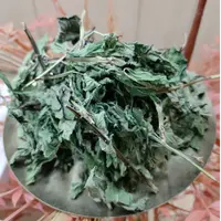 自然之道--【薄荷】