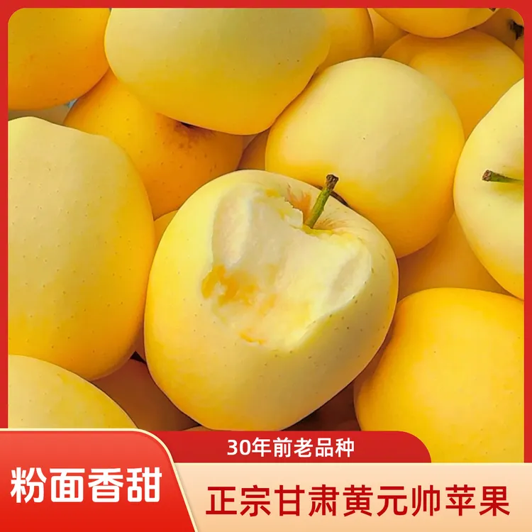 陇原心选甘肃黄元帅苹果产地直发正宗黄金帅应当季新鲜水果黄香蕉