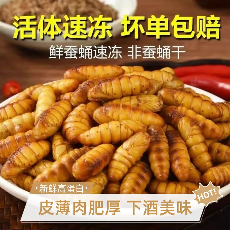 今年新货特级新鲜精选蝉蛹冷冻金丝蚕蛹今年当季美味高蛋白下酒菜