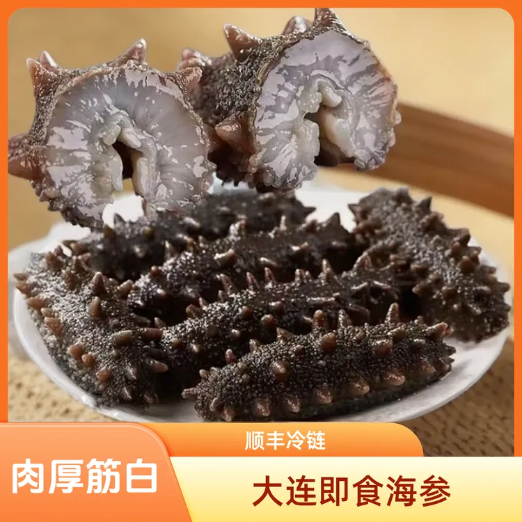 【买40头送10头】大连海参即食辽刺参独立包装新鲜