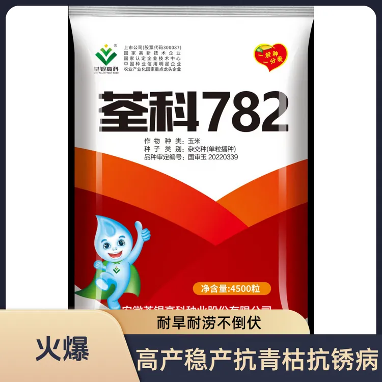 荃科782耐密抗倒高产抗锈耐旱耐涝玉米种