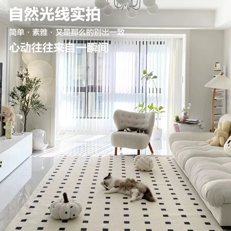 防水网红黑石公寓防水地毯客厅轻奢现代简约轻奢防水免洗毯