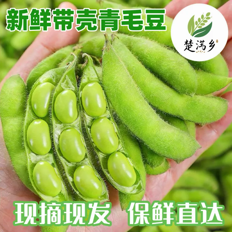 当季新鲜蔬菜毛豆新鲜带壳青豆现摘现发豆荚薄皮农家毛豆3斤5斤