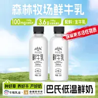 【乍甸乳业】云南乍甸森林牧场全脂鲜牛乳巴氏250g*9瓶顺丰送货上门