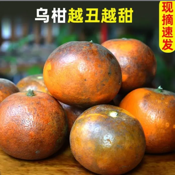 【9斤】云南乌沃柑花皮维c沃柑大果茂谷柑新鲜沃柑脏脏柑清甜橘子