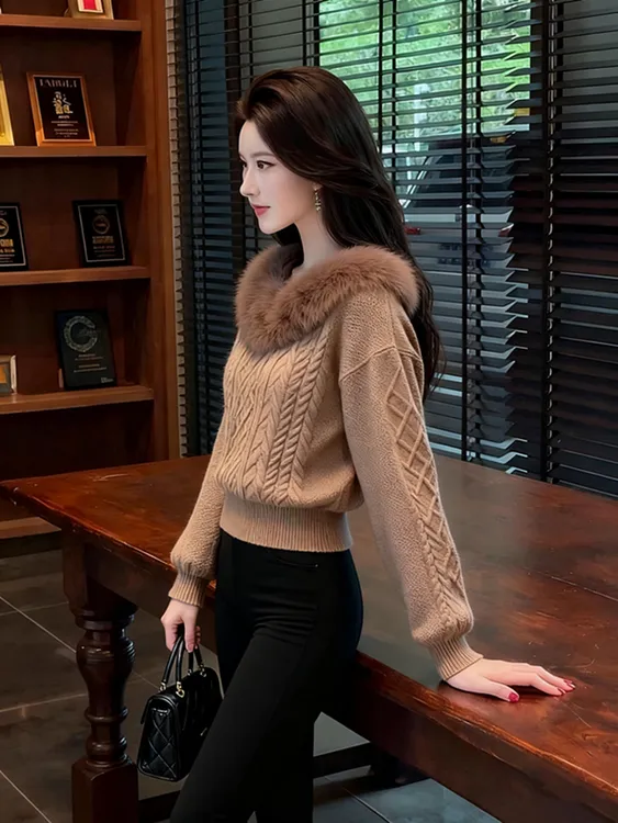 秋冬季2025新款独特漂亮轻熟风气质小香风毛领棕色针织衫女毛衣