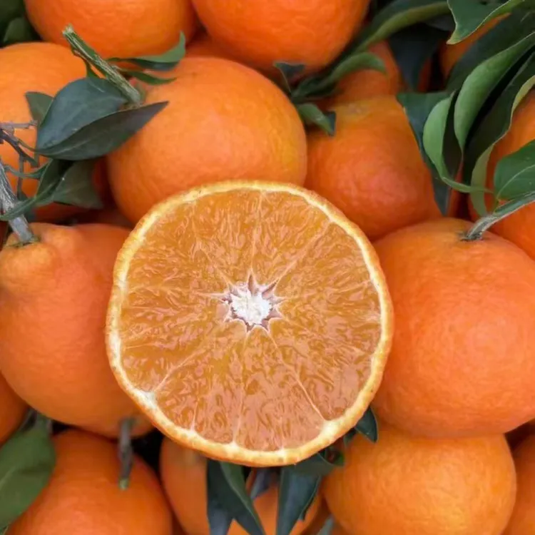 【顺丰快递】四川爱媛38号果冻橙香甜多汁