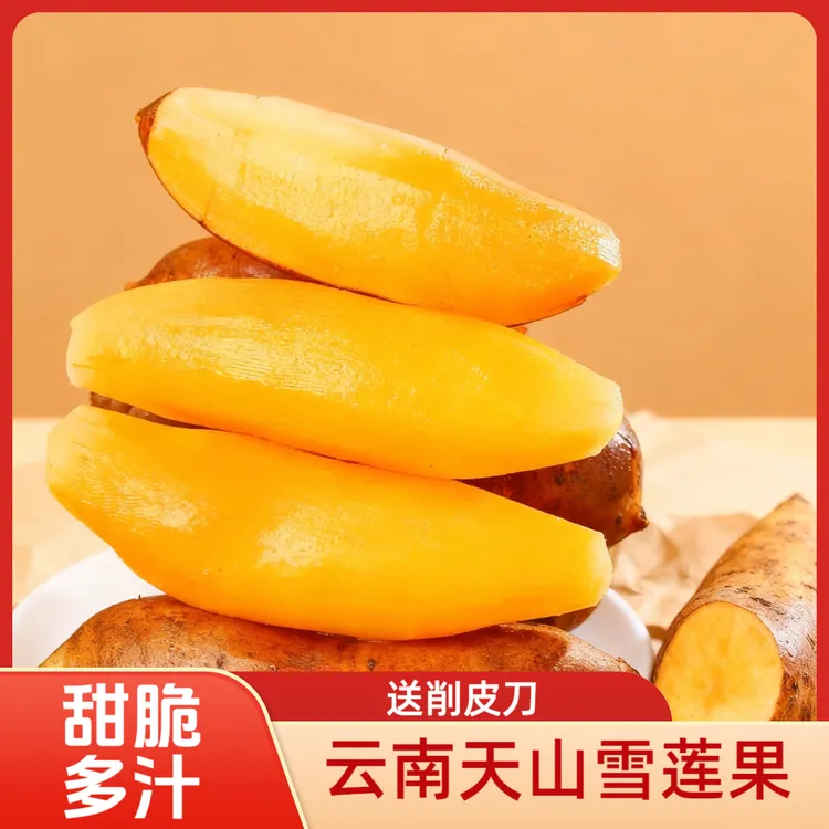云南天山雪莲果大长果现挖清甜脆爽黄心应季水果产地直发