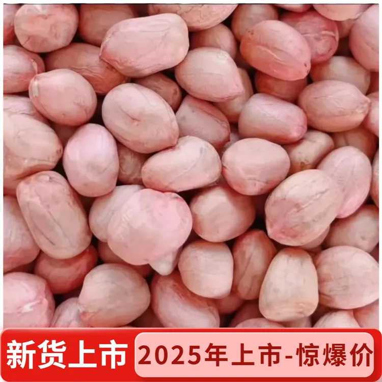 【惊爆价-25年新货】上市白沙花生产地直达卤花生水煮新鲜