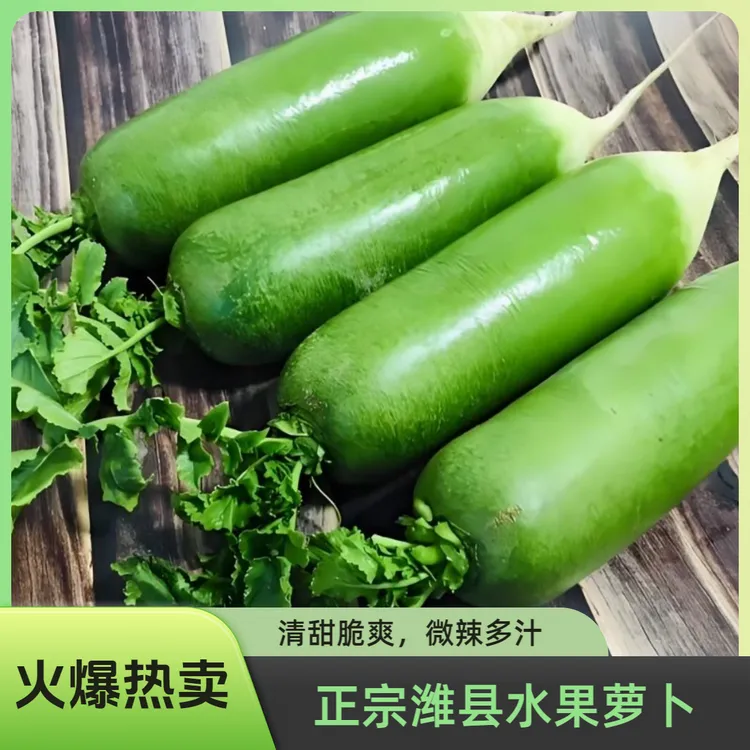 [嘎嘣脆]正宗潍县水果萝卜 清甜脆爽 微辣多汁 坏果包赔 山东寿光