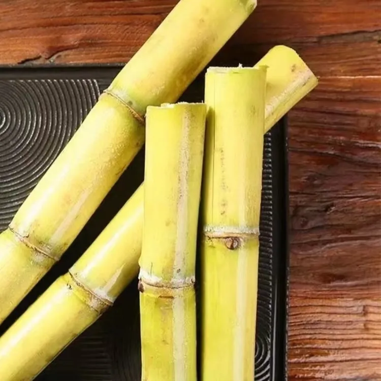 云南黄金甘蔗9斤 应季水果新鲜直发需削皮后食用清甜多汁