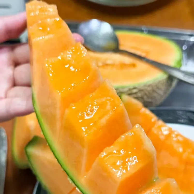 【脆甜多汁】海南沙地哈密瓜新鲜应季水果肉厚甜瓜香瓜5/9斤