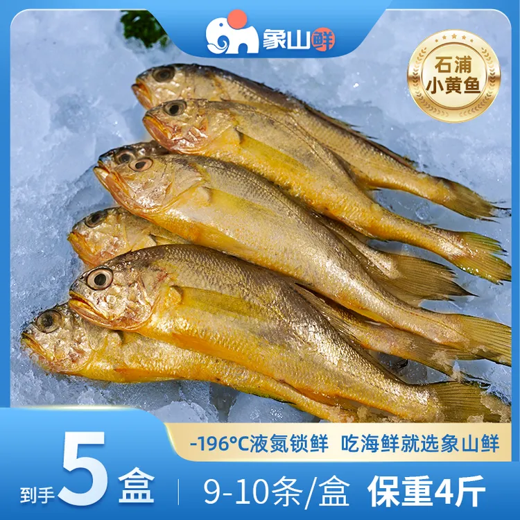 象山鲜东海原产小黄鱼液氮锁鲜9-10条/盒石浦到手4斤美味