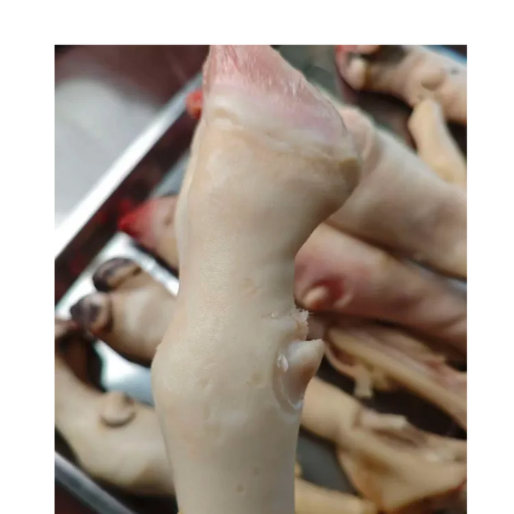 白羊蹄新鲜带筋羊蹄子赠送料包