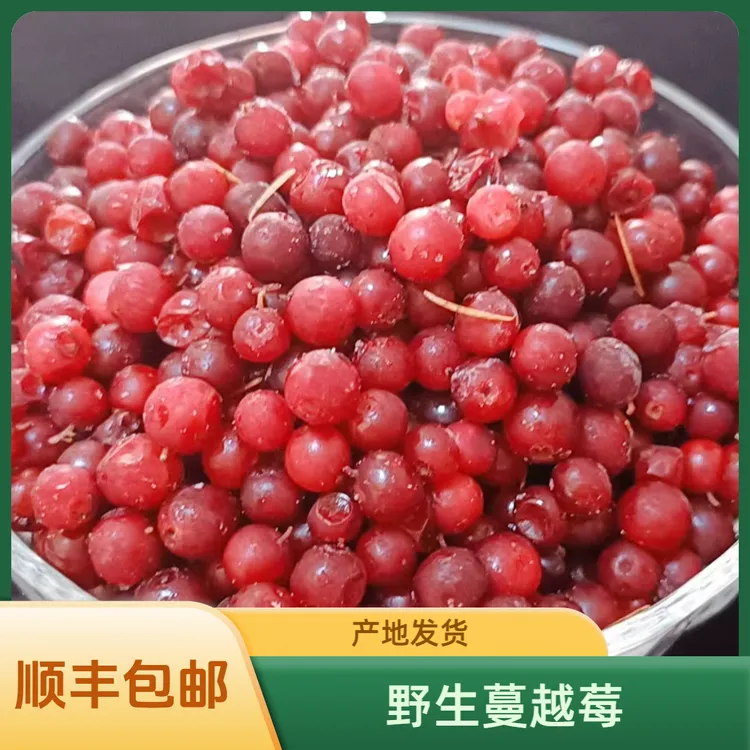 东北蔓越莓野生蔓越莓雅格达鲜果顺丰包邮产地发货