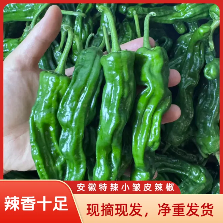 【顺丰包邮】新鲜特辣香辣小皱皮薄皮超辣青椒当季农家自种大小混装