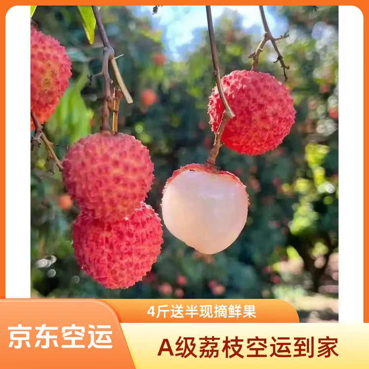 (A级果) 广西荔枝无枝条叶子压称光头果空运买4斤送半斤到手4.5斤
