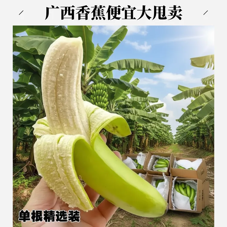 正宗高山香蕉5-9斤当季新鲜水果现摘产地直发软糯香甜健康好吃