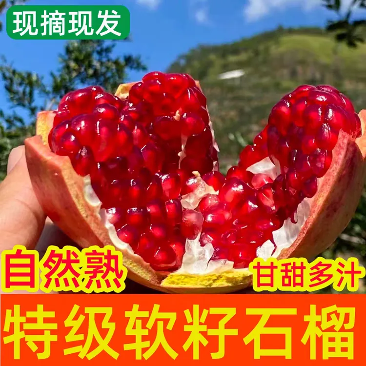 【十年老树】四川攀枝花突尼斯软籽石榴新鲜采摘当季水果爆甜多汁