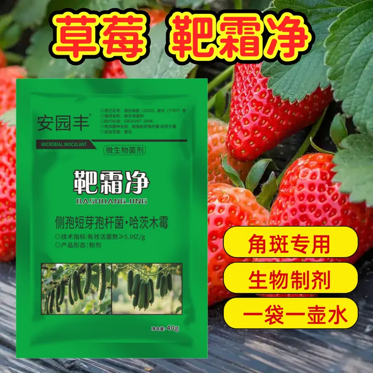 靶霜净草莓角斑流胶靶斑霜霉早晚疫病叶斑黑星微生物菌剂