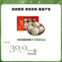 河南泌阳特大号白花菇