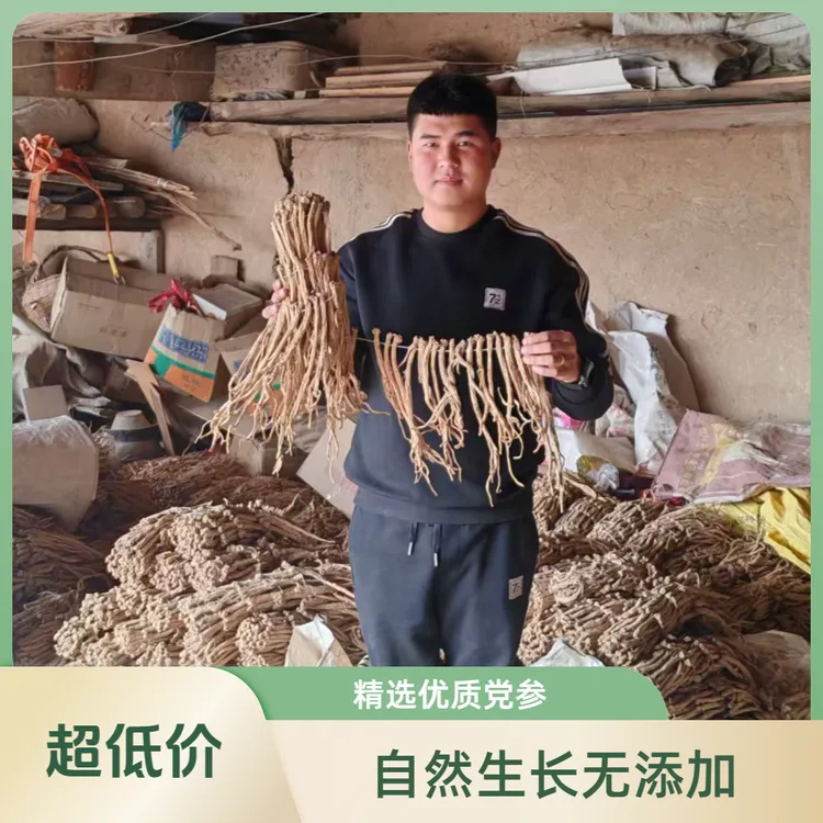 甘肃文县老党参中条原条无硫自然晾晒滋补泡水煲汤